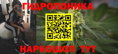 стафф Нарткала
