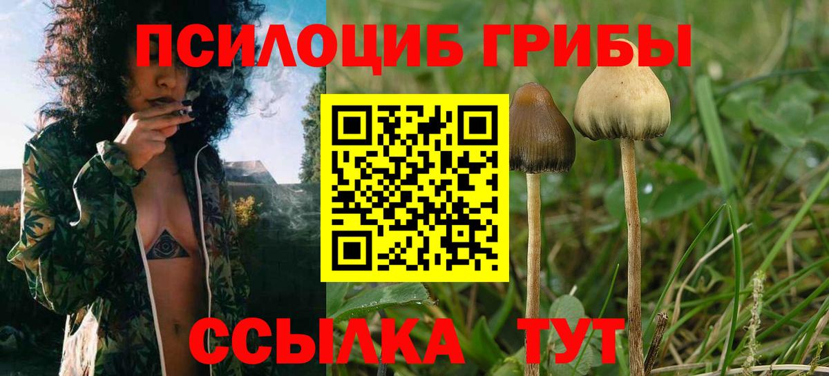 Псилоцибиновые грибы мицелий  Вичуга  Галлюциногенные грибы MAGIC MUSHROOMS 