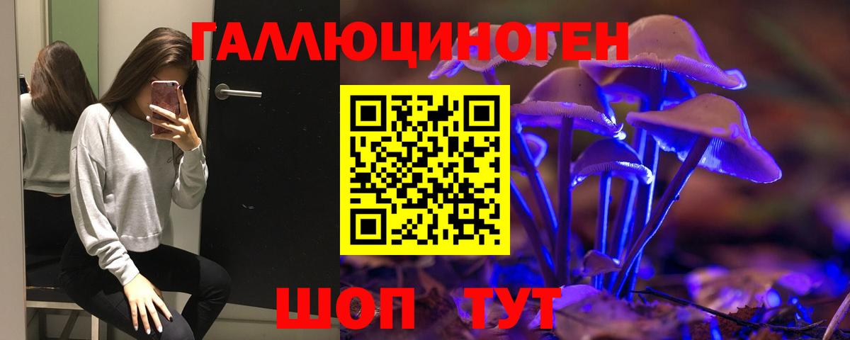 Вичуга  Галлюциногенные грибы Magic Shrooms  Вход с VPN 